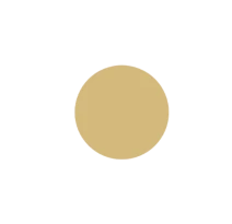 Core Value logo weiß für Header nur zielscheibe